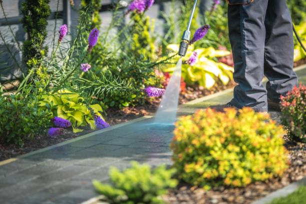 Best Winterizing Services  in Hazleton, PA