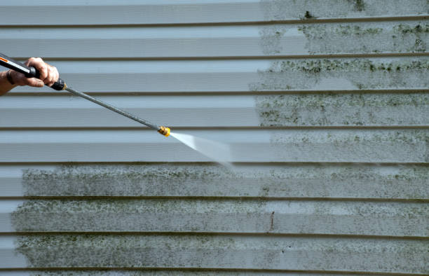 Best Roof Washing  in Hazleton, PA