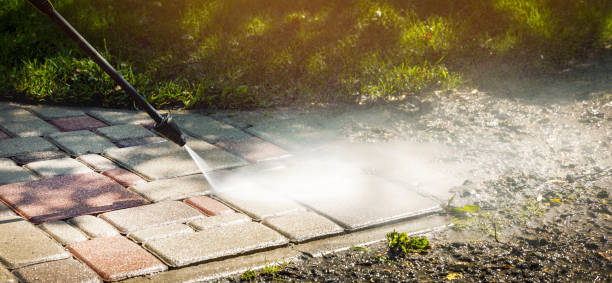 Best Driveway Pressure Washing  in Hazleton, PA